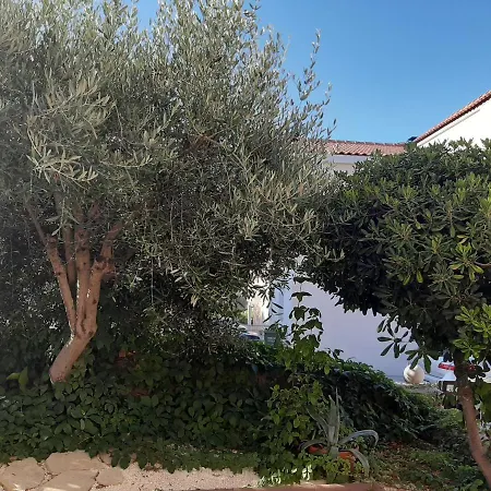 Buble Villa *